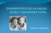 Diagnostico de La Salud Fetal y Bienestar Fetalf