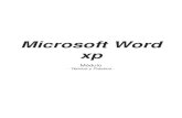 Manual de Word XP