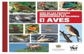 Aves migratorias Colombia.pdf