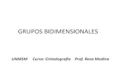 Grupos Bidimensionales PDF