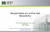 Desarrollos en el Pré-sal Brasileño
