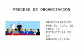 10   Estructura Y DiseñO De La OrganizacióN