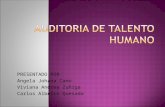 Auditoria de talento humano