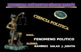 El fenomeno politico, sistemas y funciones conceptos de ciencia politica