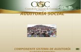 Auditoria social  - CGC