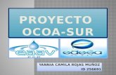Proyecto ocoa sur