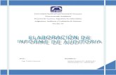 UNEG-AS 2012-Inf9: Elaboración del informe de auditoría