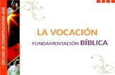 Fundamentación bíblica