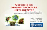 Organizaciones inteligentes (1)