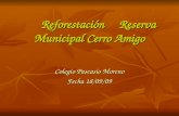 Reforestación Reserva Municipal Cerro Amigo