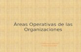 Areas operativas (produccion, logistica, c ompras y calidad)