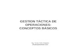Gestion tactica de operaciones