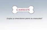 Canilux - Proyecto Final Workshop Lenguaje Publicitario UIC