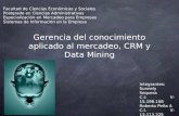 Gerencia del Conocimiento Aplicado al Mercadeo / CRM y Data Mining