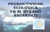 Productividad Ecológica en el Antártico