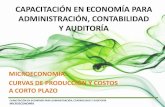 Microeconomía para Administración: Función de Producción y Costos en el Corto Plazo