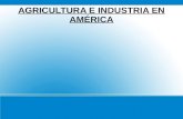 Agricultura e industria en America(octavo)