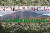 Sierra Bermeja Parque Nacional PresentacióN Inicial