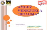 AmBev Venezuela-UCLA