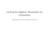 Brecha digital y Colombia. Alejandra Hernandez. Competencias en el uso de la información.