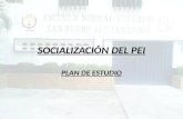 Plan De Estudio IED Esc. Normal Superior San Pedro Alejandrino