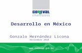 01-12-10 Desarrollo en México