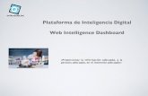 Presentación Web Intelligence dashboard Q1 2014