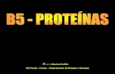 imagenes de proteinas