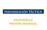 Microciclo patrón semanal (Morfocíclo)