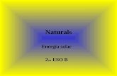 Naturals: Les Energies Renovables
