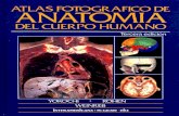 Atlas Fotográfico de Anatomáa del Cuerpo Humano Yokochi 3a. Edición.pdf