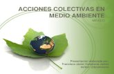 Acciones colectivas en medio ambiente (Mexico)