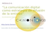 Comunicación digital como estrategia de difusión de la entidad. CAMON ONG 2011