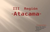 REGION DE ATACAMA
