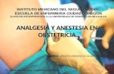 Analgesia y anestesia en obstetricia