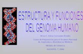 Estructura Y Funciones Del Genoma Humano