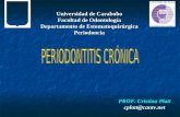 2. Periodontitis Crónica 2007
