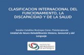 CLASIFICACION INTERNACIONAL DEL FUNCIONAMIENTO, LA DISCAPACIDAD Y DE LA SALUD