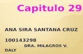 Capitulo 29 2014-2