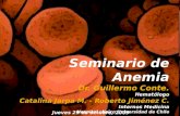 Seminario De Anemia