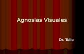 Agnosias visuales