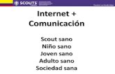 Scouts g33 an-seguridad-internet-2013-ramiro-parias