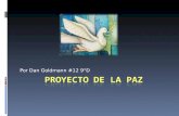 Proyecto De La Paz