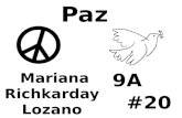 Projecto De Paz[1]