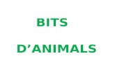 Bits animals