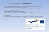 Proyecto Comenius en el IESO Manuel de Guzman