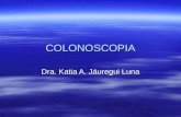 17 Colonoscopia