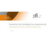 GFI - APS BI Solucion Endeca (2013)