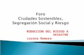 Charla sobre Gestión de Riesgo, Lorena Romero, Municipalidad de San Jóse