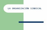 Capacitación en la CGT - "La Organización Sindical" por P. Schiuma de la Fundación Rucci el 23/22/2009